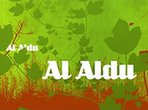 871274776600 frame al aldu
